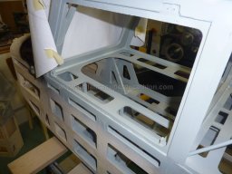 Canopy (65)